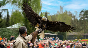 Weltvogelpark Walsrode