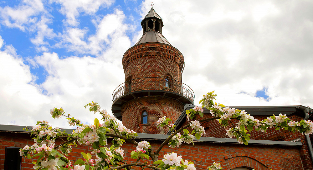 Turm Main Image